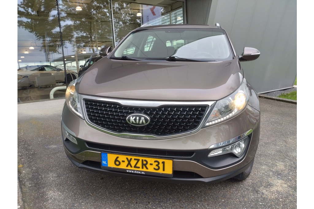 40861305-2.jpg