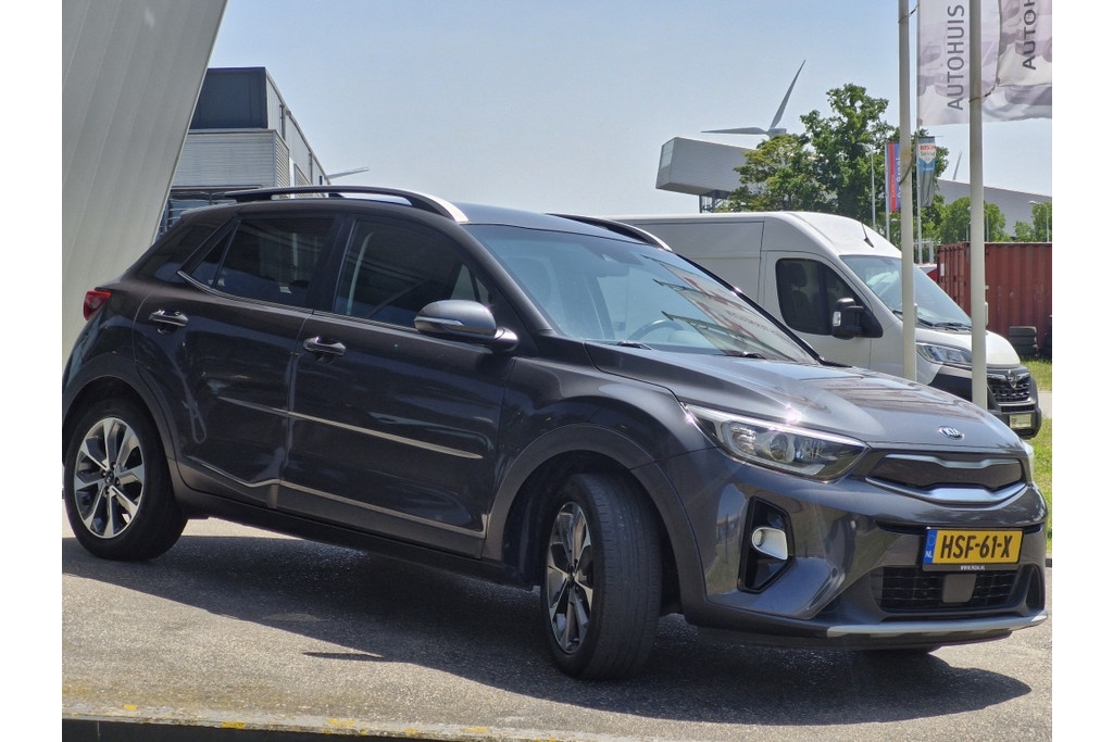 45915549-4.jpg