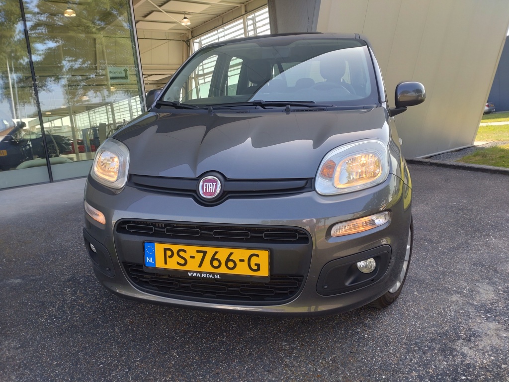 46495415-1.jpg