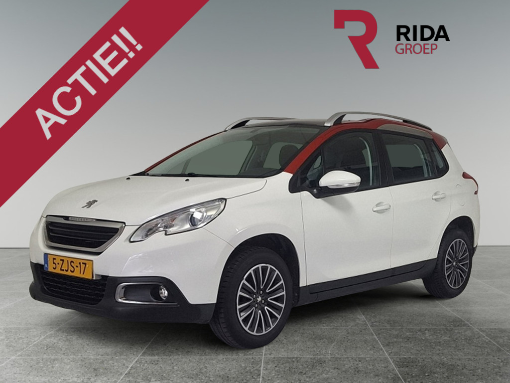 53344901