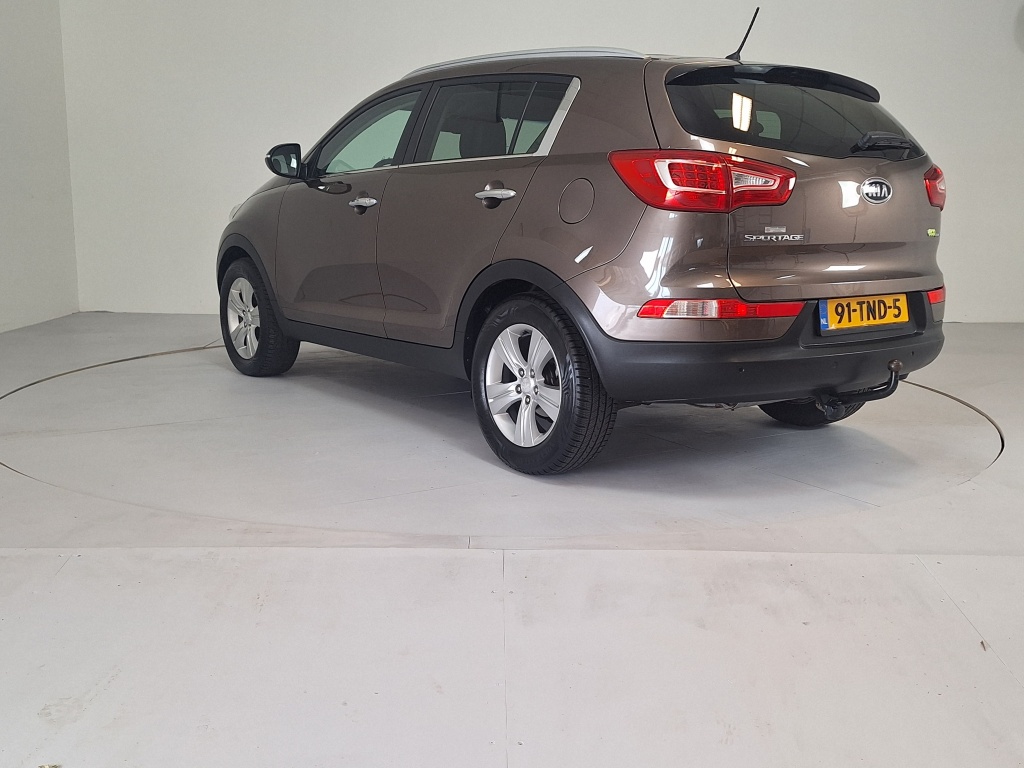 53538296-4.jpg